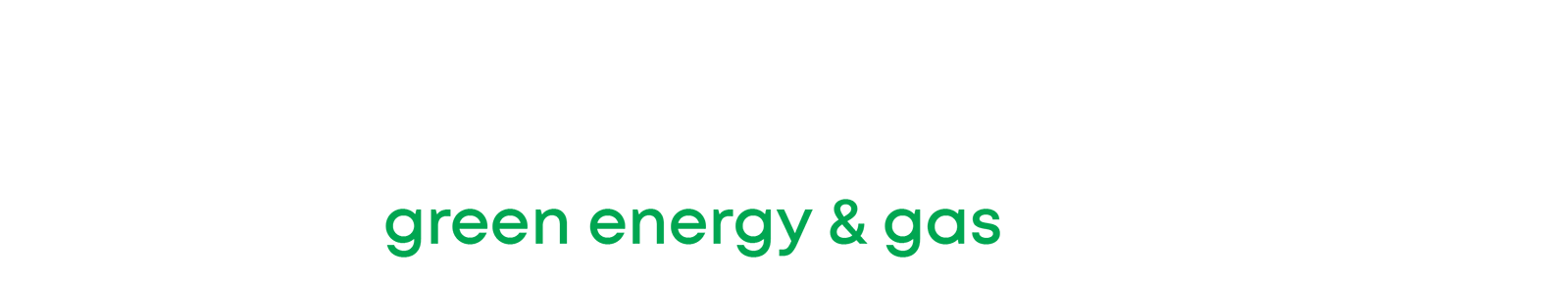 boryszew.energy